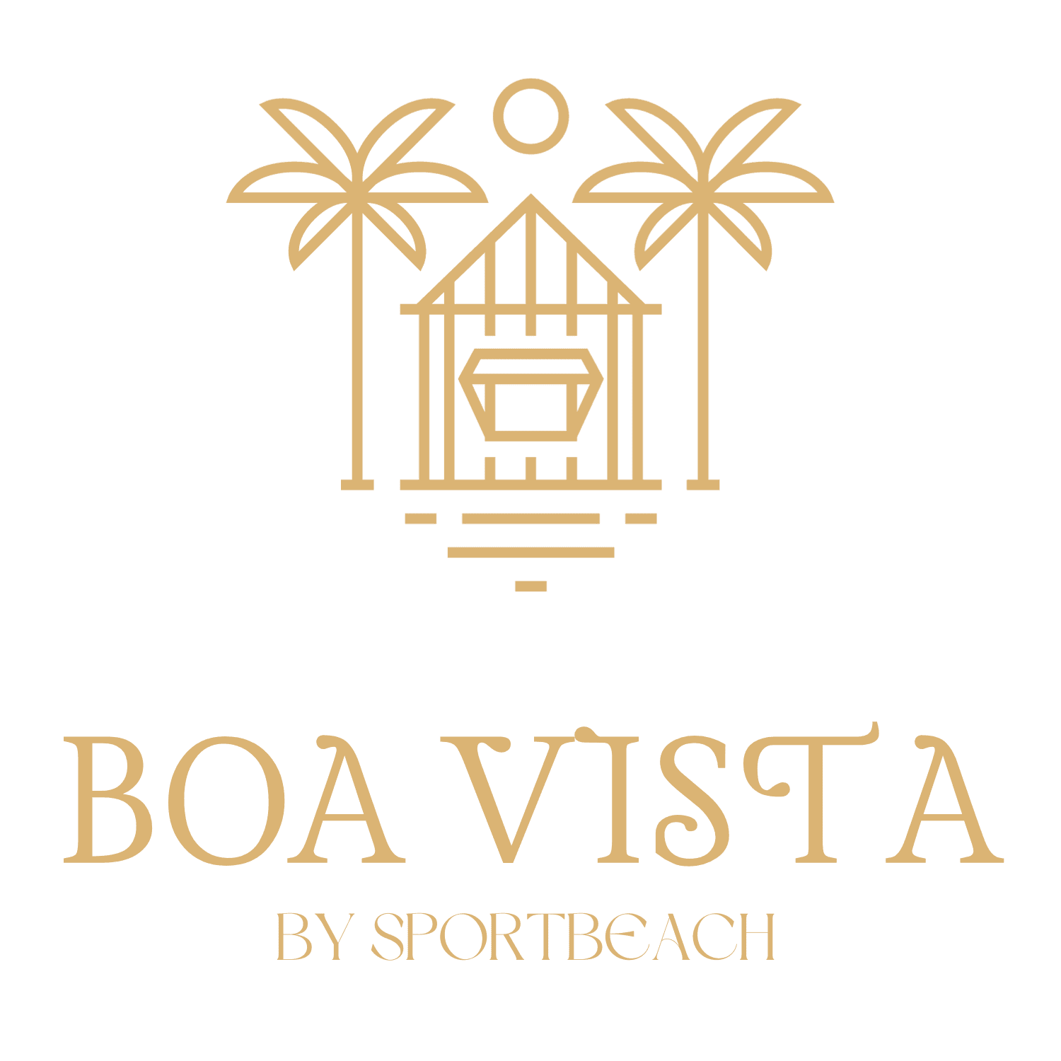 logo boa vista avec établissement et palmier